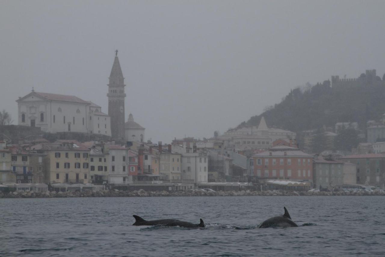 Sal & Mar Apartments Piran Eksteriør bilde