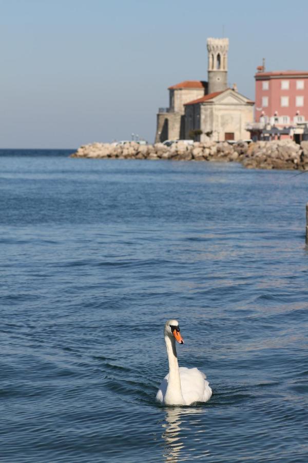 Sal & Mar Apartments Piran Eksteriør bilde